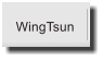 WingTsun